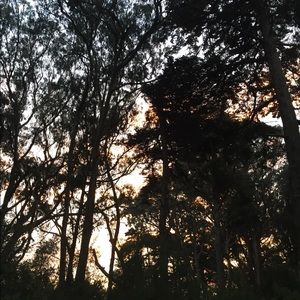 Meet your Posher, Maude